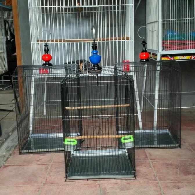 Promo Kandang Kotak Besi Gantung