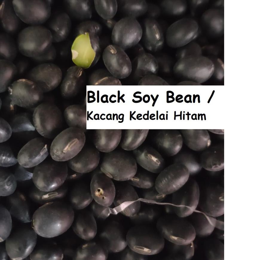

TERLARIS BRANDS FESTIVAL 500gr Kacang Kedelai Hitam - BLACK BEAN serbuuu !