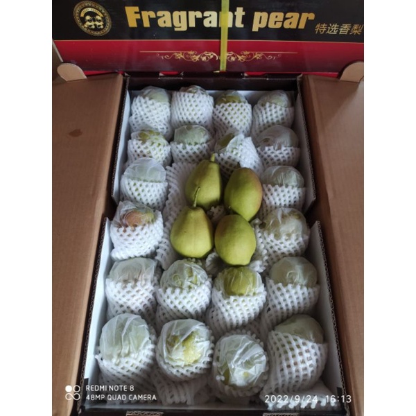 

Pear Xianglie