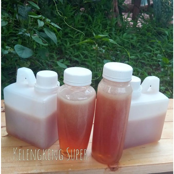 

TREND MADU KELENGKENG SUPER 1/2KG STOK TERBATAS