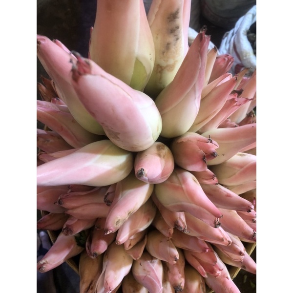 

[bumi mart] Kecombrang 1 kg