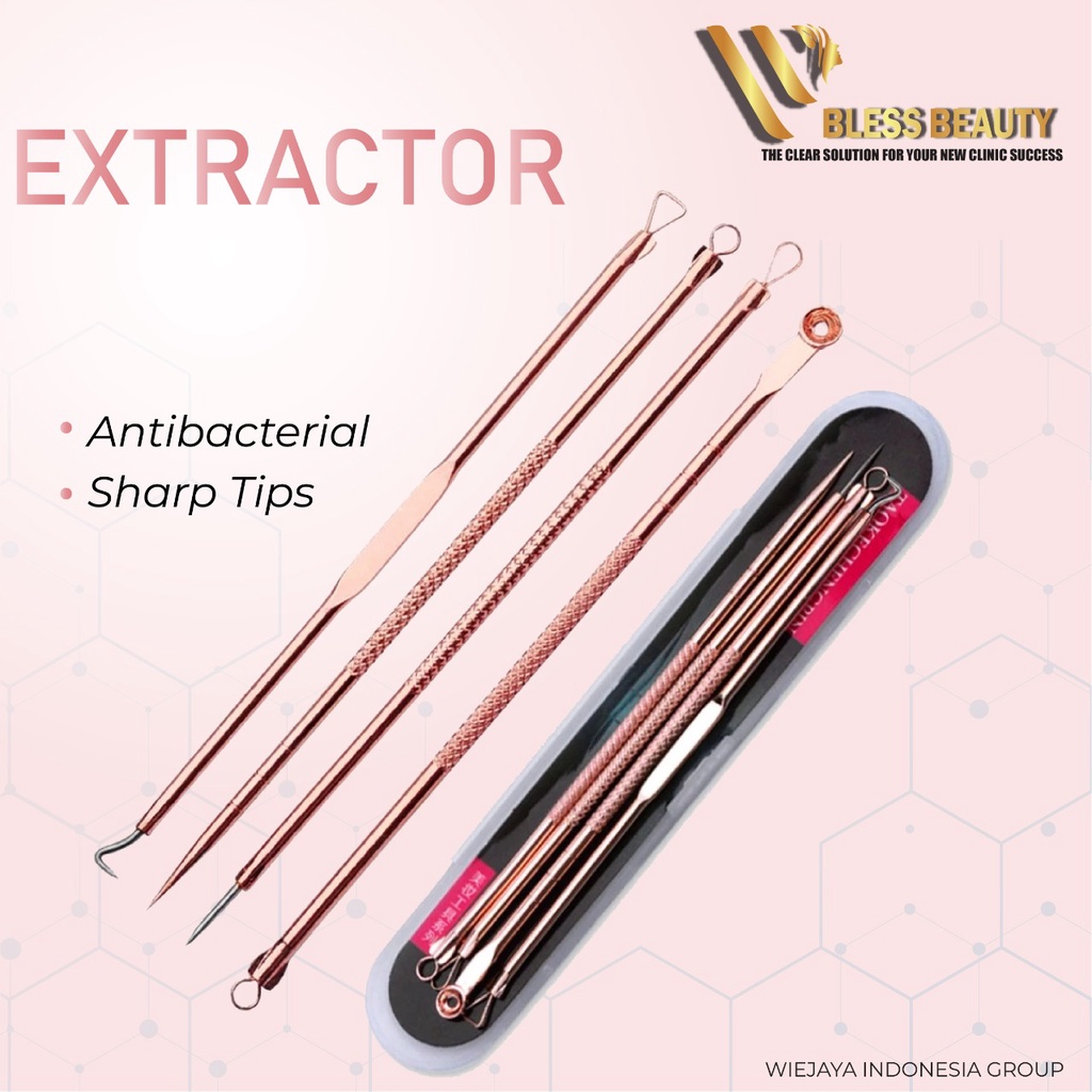 Alat Kecantikan Wajah Ekstraktor Pinset Pencabut Komedo 4set Extractor Klinik