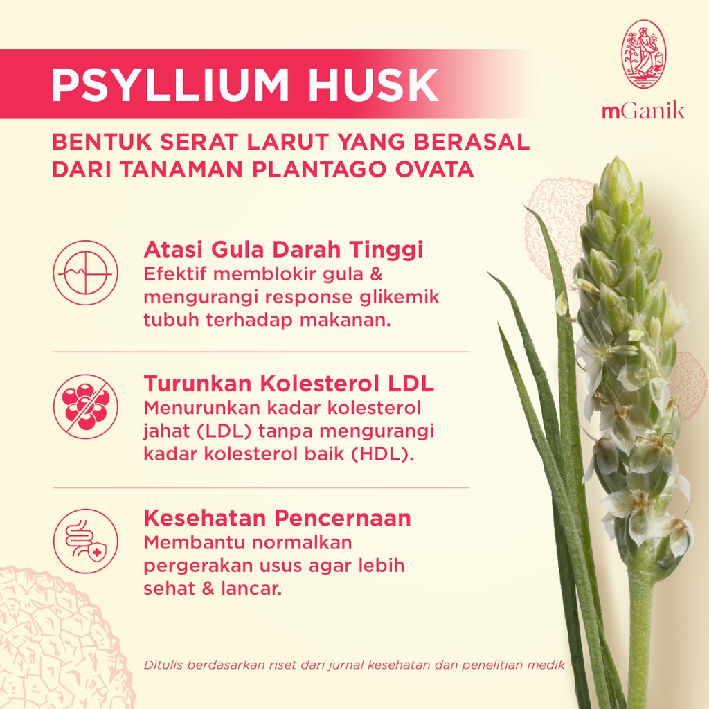 

MGANIK METAFIBER 252 Gr Gram 42 Serving Minuman Serat Fiber Untuk Diabetes M ganik Meta Fiber BPOM Gratis Shaker Cantik