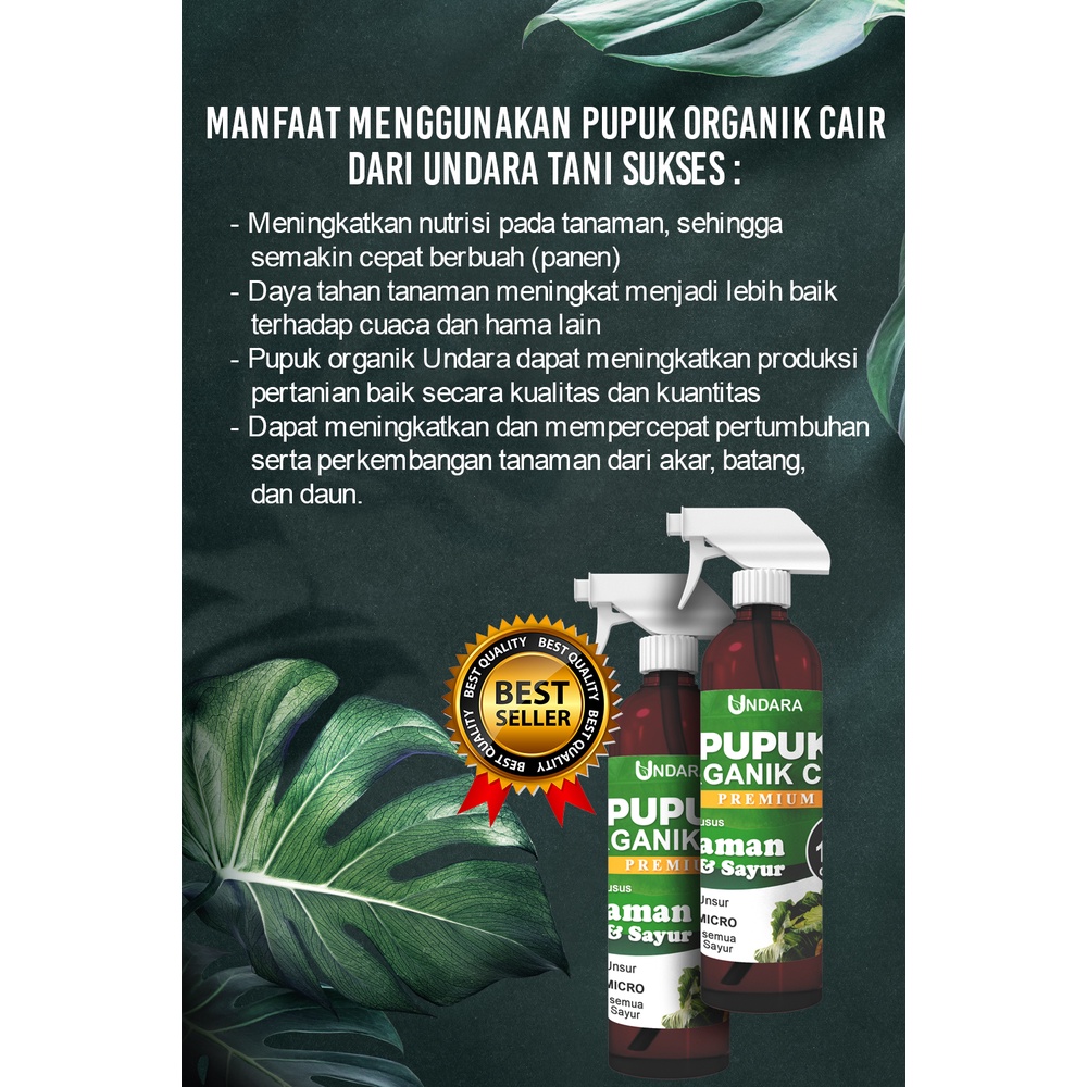 Spray Undara Cair tanaman membantu pertumbuhan dan perkembangan tumbuhan secara alami dengan bahan organik