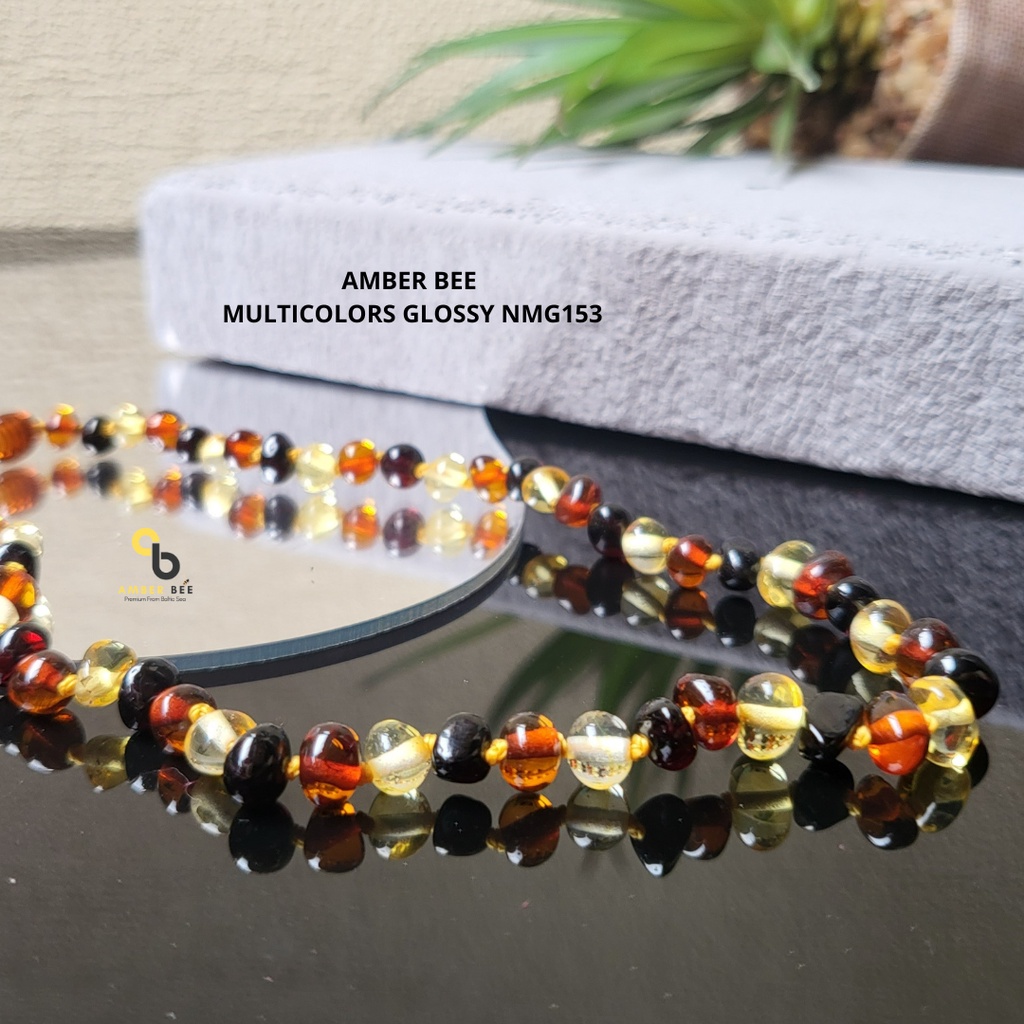 Kalung Amber Bayi dan Anak TK/SD Premium Multicolor NGM153 Glossy by AMBER BEE