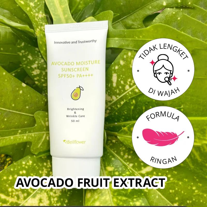 Bellflower avocado moisture sunscreen spf 50 PA++++