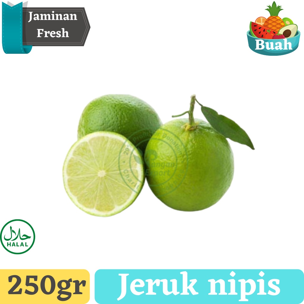 

Jeruk Nipis Premium Lime / Buah Bumbu Sayur Masak by Pangan Export