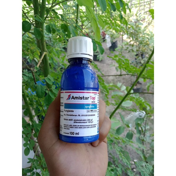 Jual Fungisida Amistartop 325 SC 100 ML Shopee Indonesia