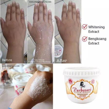 ^ KYRA ^ Purbasari Lulur Mandi Dermatologically Tested Body Scrub - Netto 125 gr