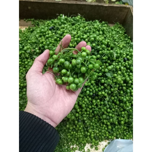 

leunca Bandung 250gr