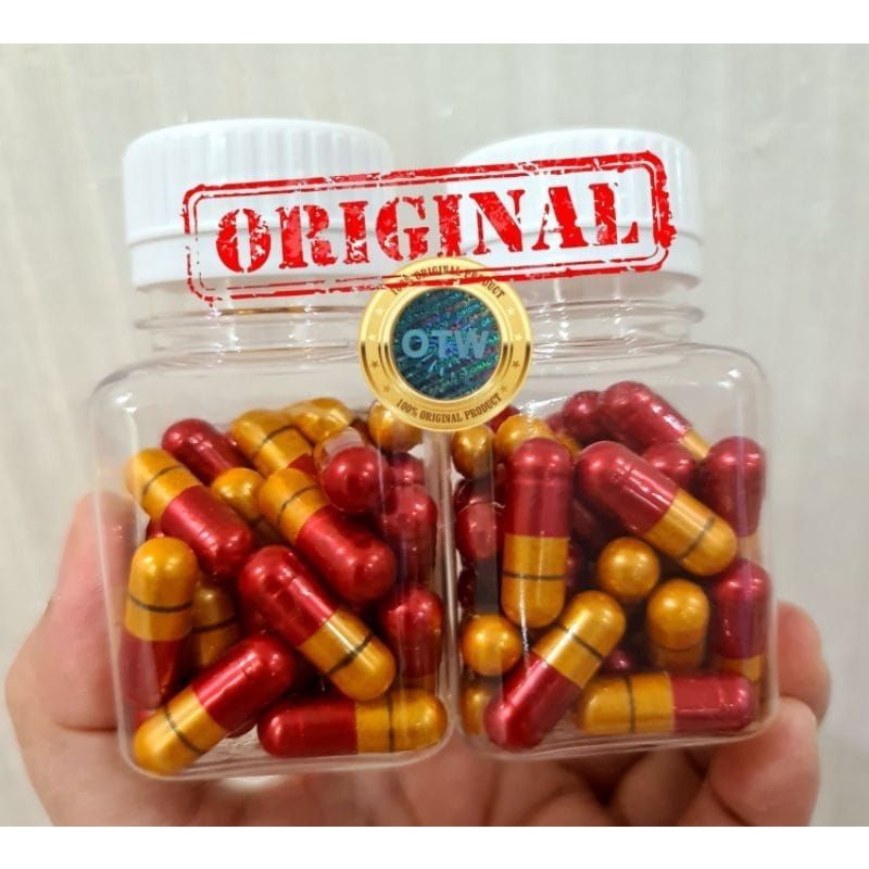 PELANGSING KJP ORIGINAL