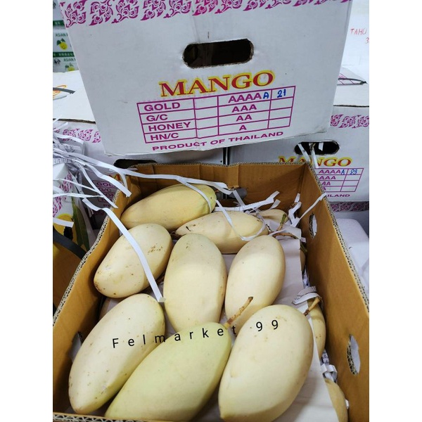

mangga thailand gold fresh | buah mangga original thailand | dus
