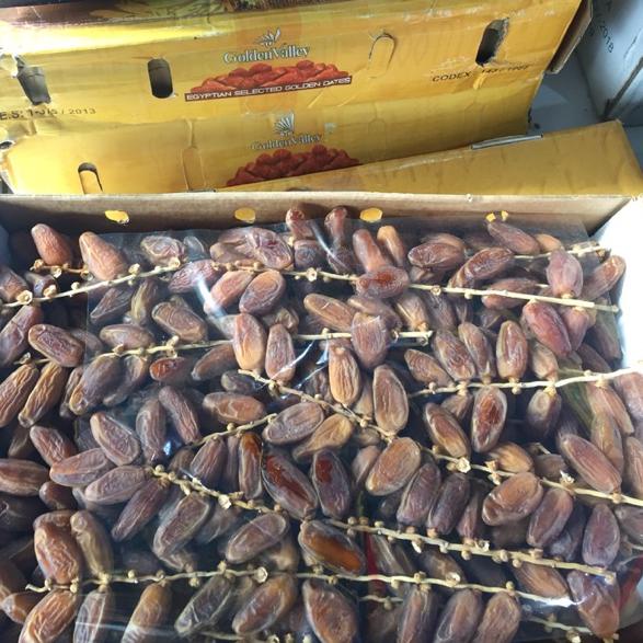 

id4a4Zo--Kurma tunisia tangkai kiloan 250 gm