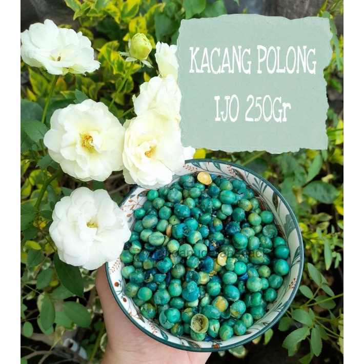 

KACANG POLONG IJO 250Gram | KACANG POLONG | KACANG KILOAN