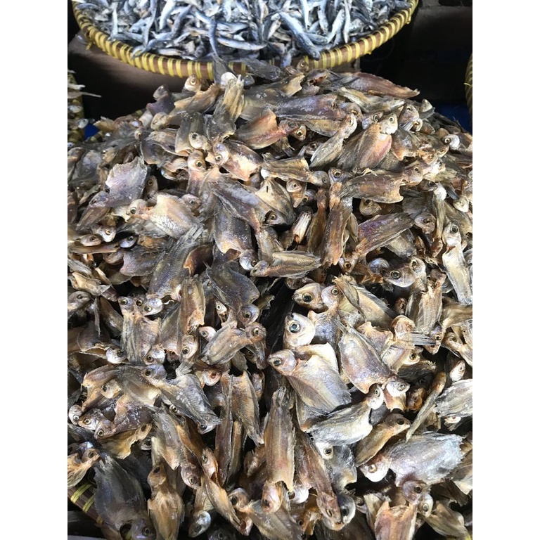 

Sapek Kepala Kecil
