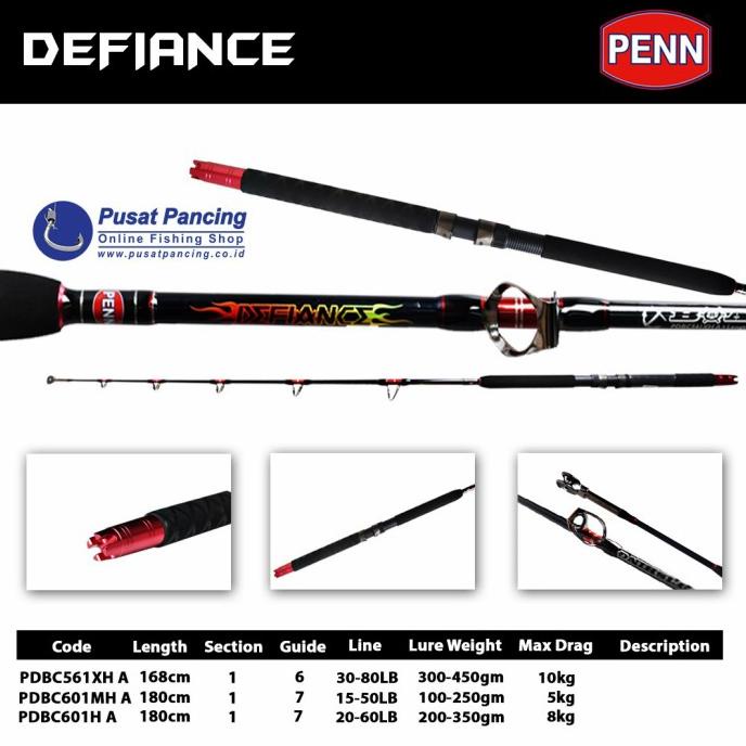 Penn Defiance Boat Fishing Trolling Rod