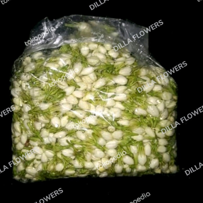 Bunga Bunga Melati Segar