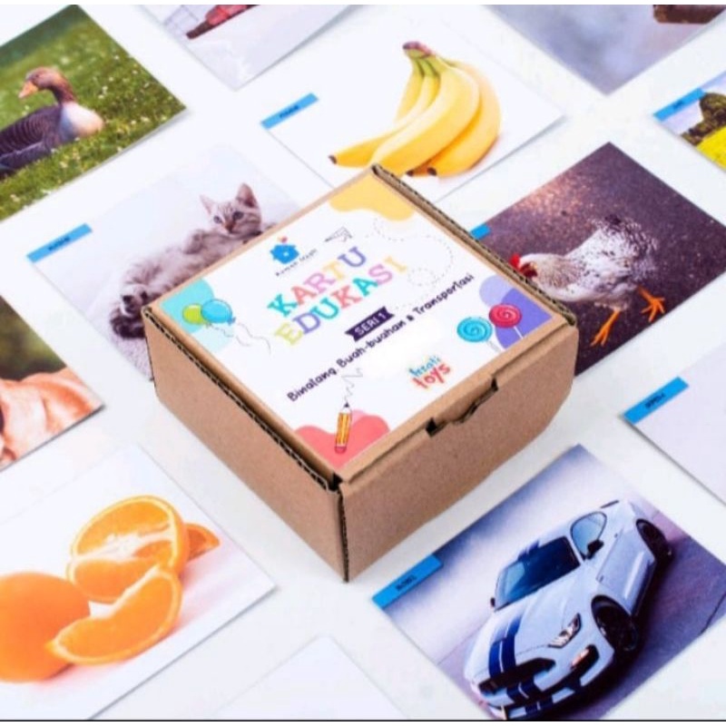 GE TOYS MAINAN PAKET KARTU 6 BOKS/ALAT TERAPI WICARA MAINAN EDUKATIF