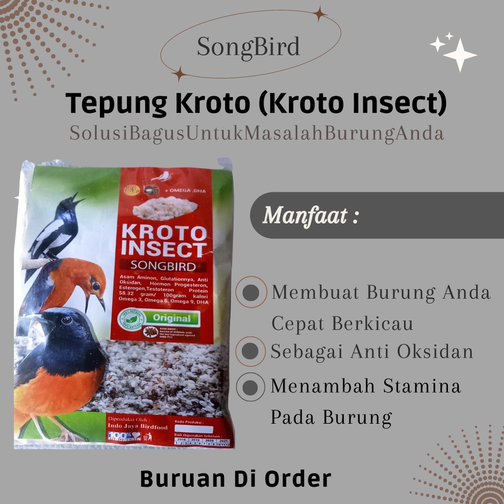 Pakan burung murai / kroto insect songbird / makanan murai