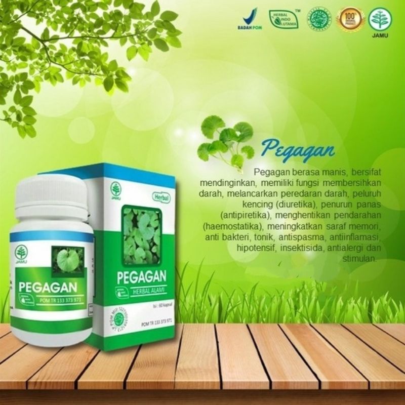 HIU Kapsul Pegagan Original isi 60 kapsul - Kapsul Herbal Pegagan