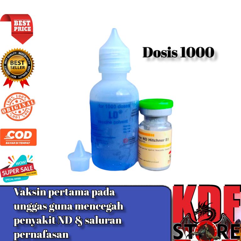 VAKSIN MEDIVAC ND HITCHNER B1 LD 1000 - Vaksin Ayam Kecil Pencegah Sakit