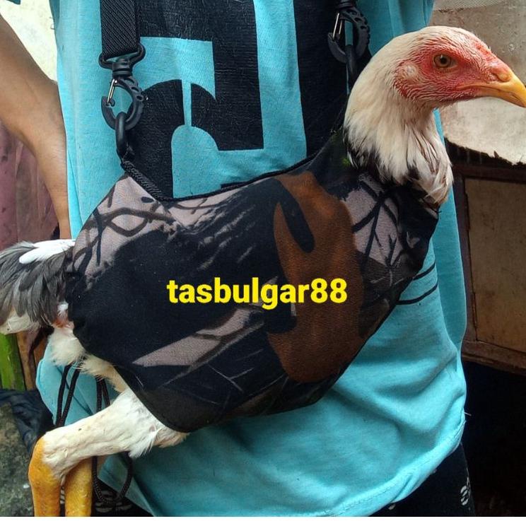 CODEa1A9m--Tas tapau ayam hutan/baju ayam hutan/Tas ayam hutan