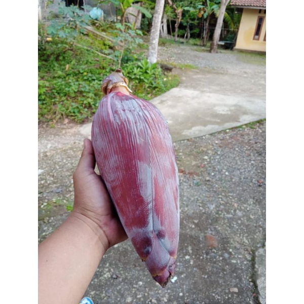 

Jantung pisang kepok buat di sayur