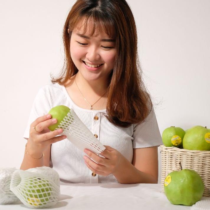 

[❤[PROMO MURAH!!!]❤]Buah JAMBU KRISTAL BABY / BABY KRISTAL