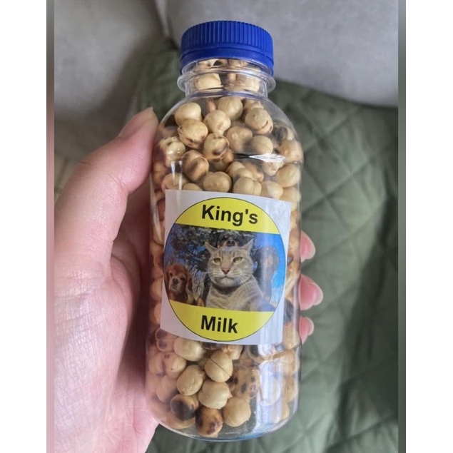 

kacang arab
