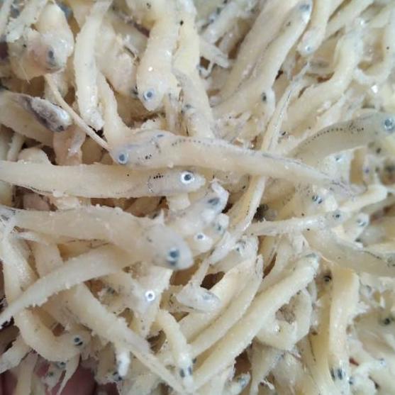 

GRATIS ONGKIR✅Teri Nasi Teri Medan Murah 250 gram|RA6