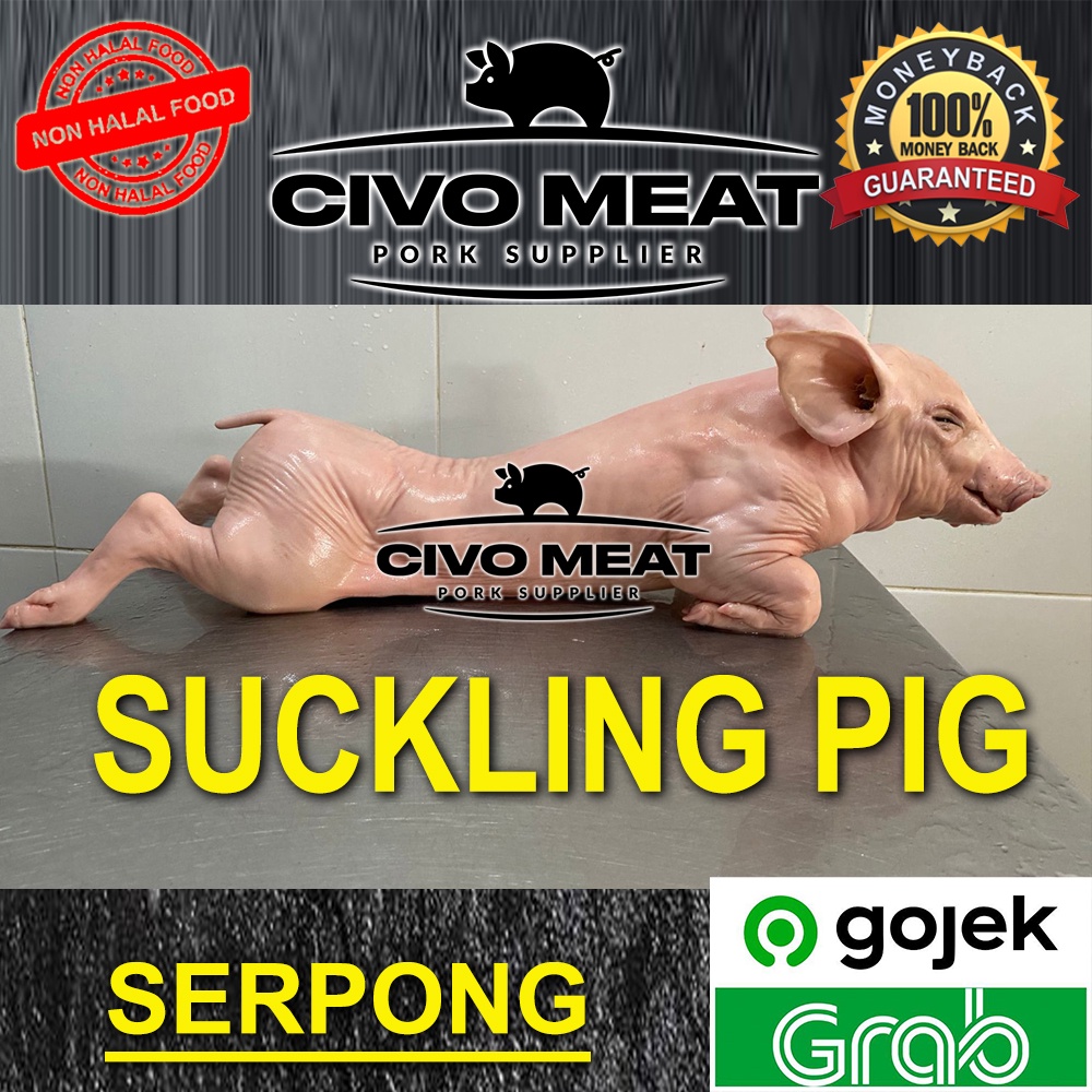 Suckling Pig / Anak Babi 1 ekor