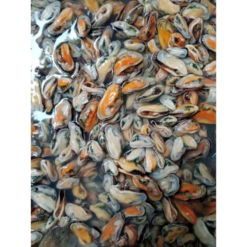 

Kerang hijau kupas