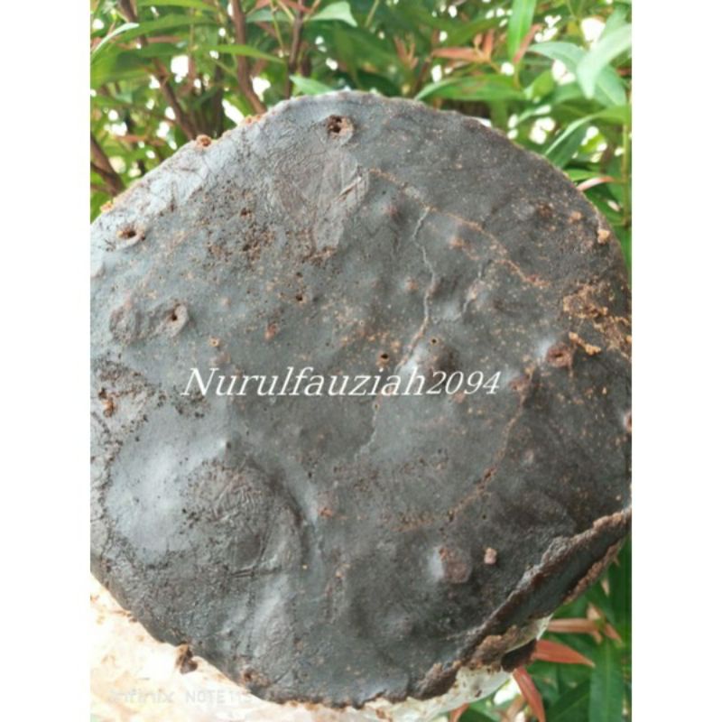 

Gula Batok linggau 5 Kg
