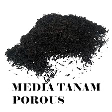 Media Tanam Aglonema Termurah