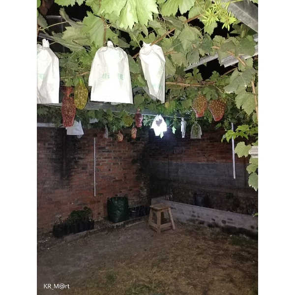 Heigrow Fruit Cover L