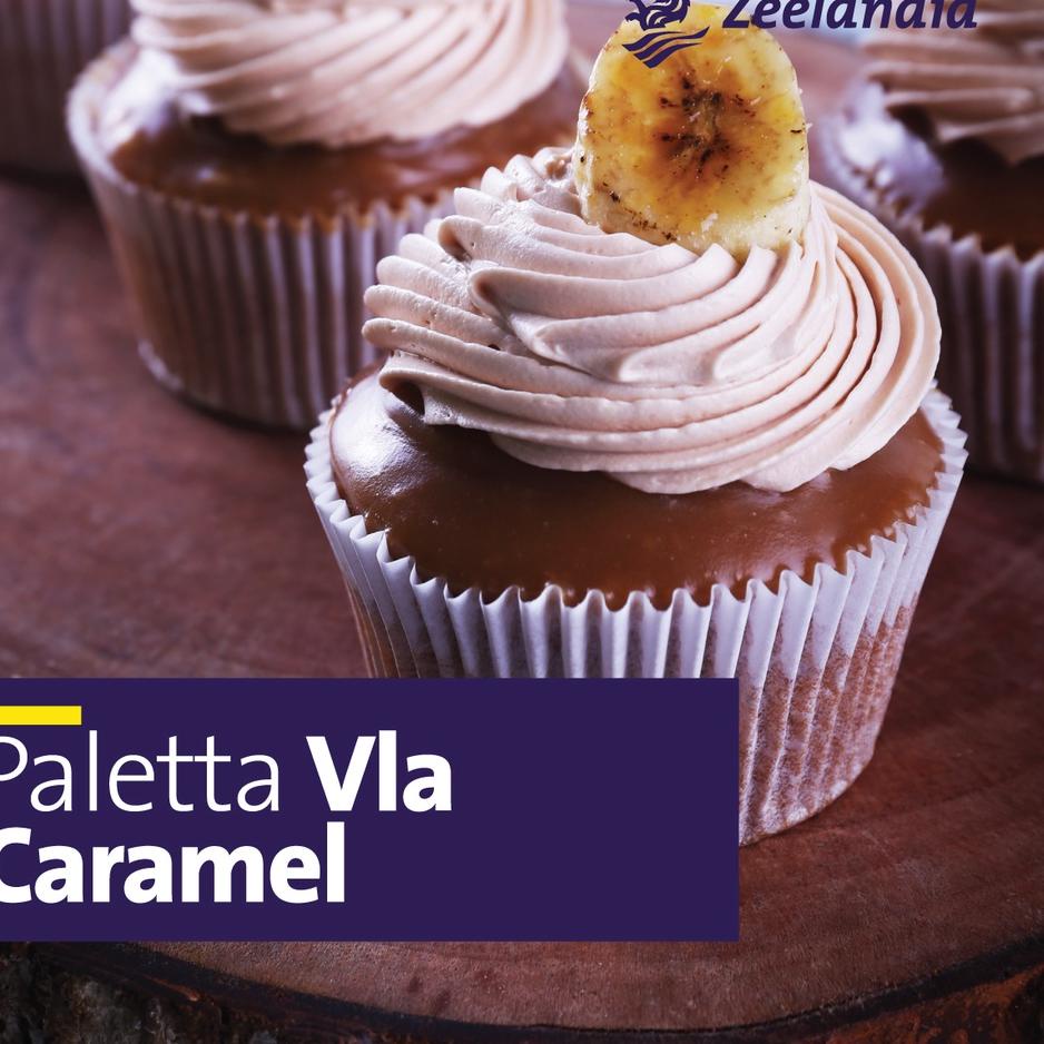 

CS5b5Ap--Zeelandia Paletta Vla Caramel 500 Gr