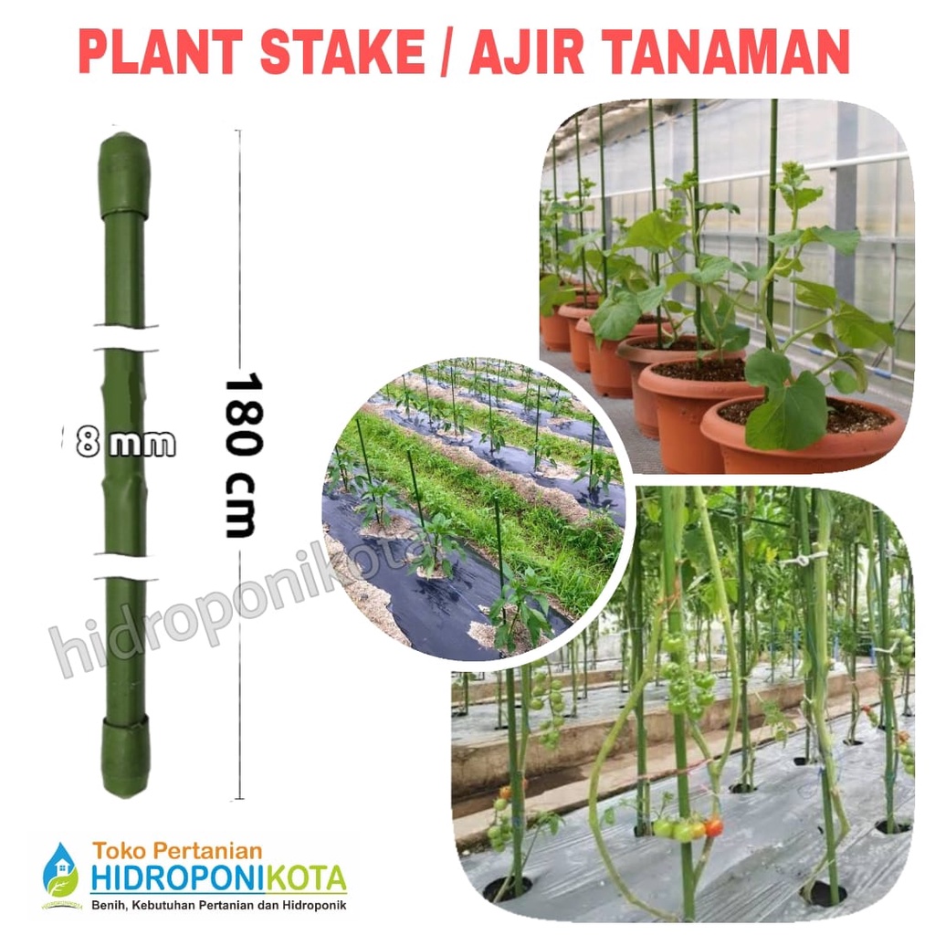 AJIR LURUS 8 mm X 180 cm - plant stake - penyangga tanaman