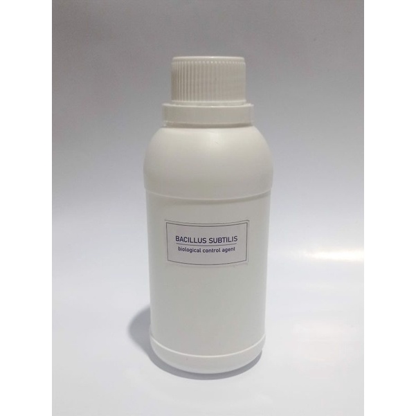 Bacillus subtilis Agen Hayati Organik