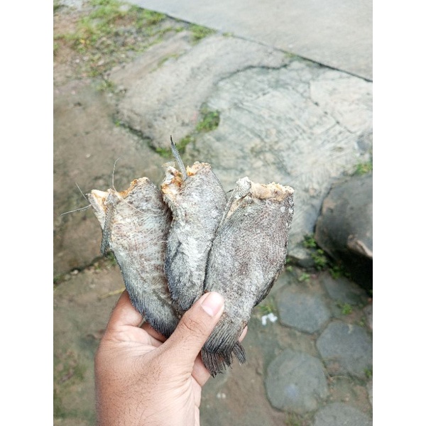 

ikan asin ikan kering sepat