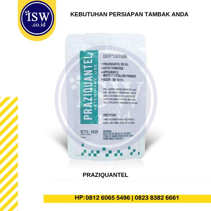 Praziquantel Obat Khusus Parasit Untuk Ikan