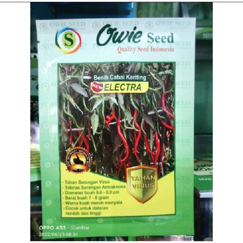 Cabe Elektra10 grm Tahan Virus Original Pabrik Owie Seed