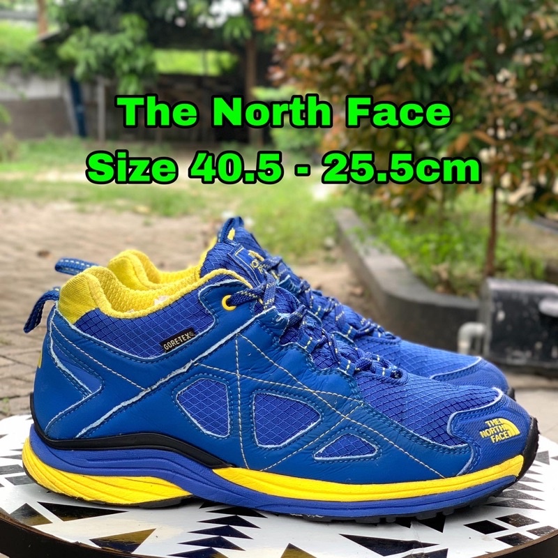 SEPATU GUNUNG THE NORTH FACE HIKING AND TRAIL RUNNING SHOES GTX