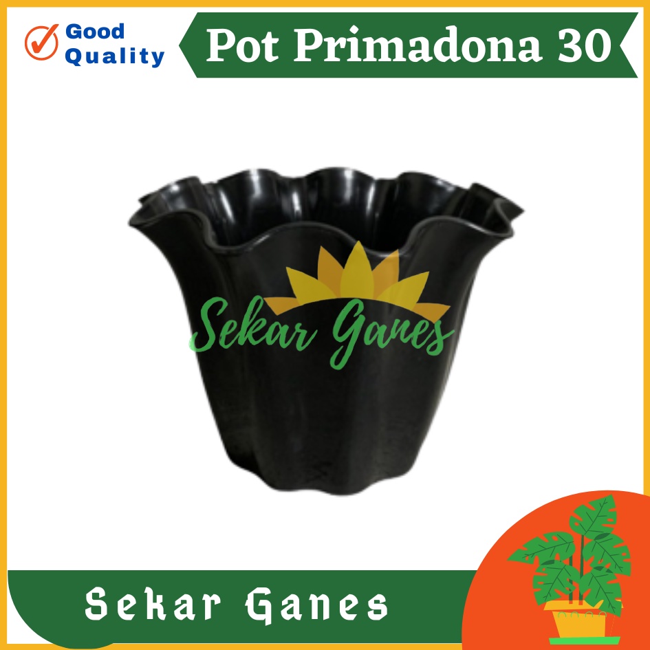 SHALLOM PRIMADONA 30 pot bunga plastik tebal bagus motif ombak bergelombang pot primadona 30 hitam murah