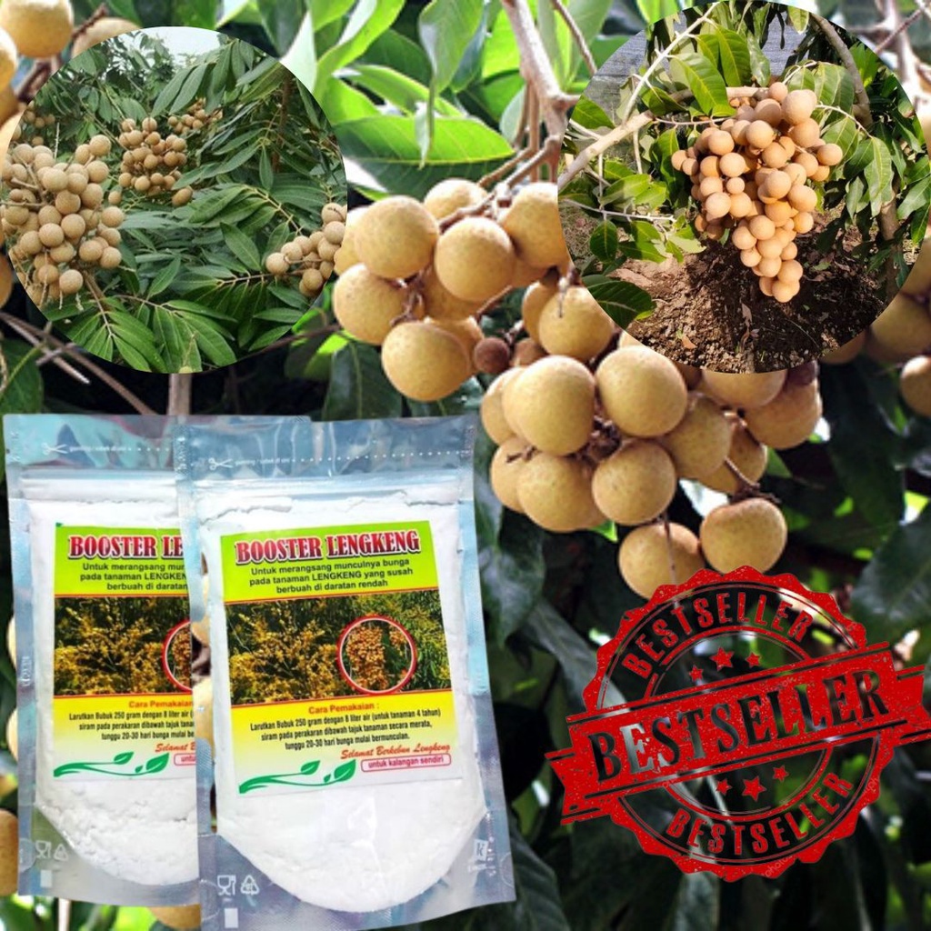 KUALITAS TERBAIK booster kelengkeng alami / Pupuk Pembungaan Kelengkeng 1kg / Booster Kelengkeng KCL