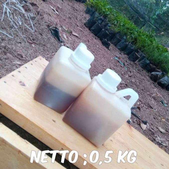 

TREND MADU MULTIFLORA SUPER M ISI BERSIH 500G PENGIRIMAN CEPAT