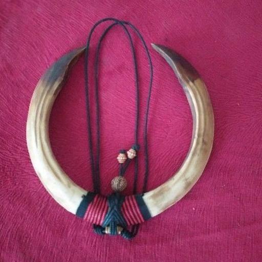 Paling Diminati Sepasang taring babi | sepasang kalung taring babi