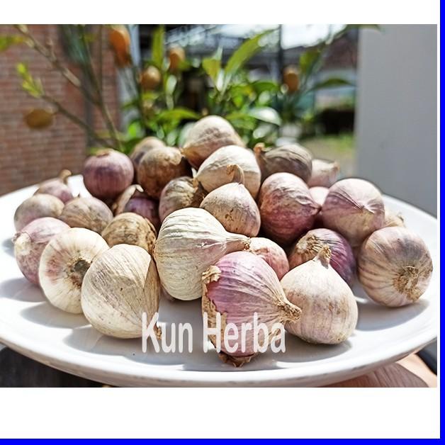 

Hot Product--BAWANG PUTIH TUNGGAL 250 GR - BAWANG PUTIH LANANG