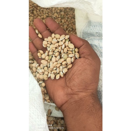 

biji komak 1kg
