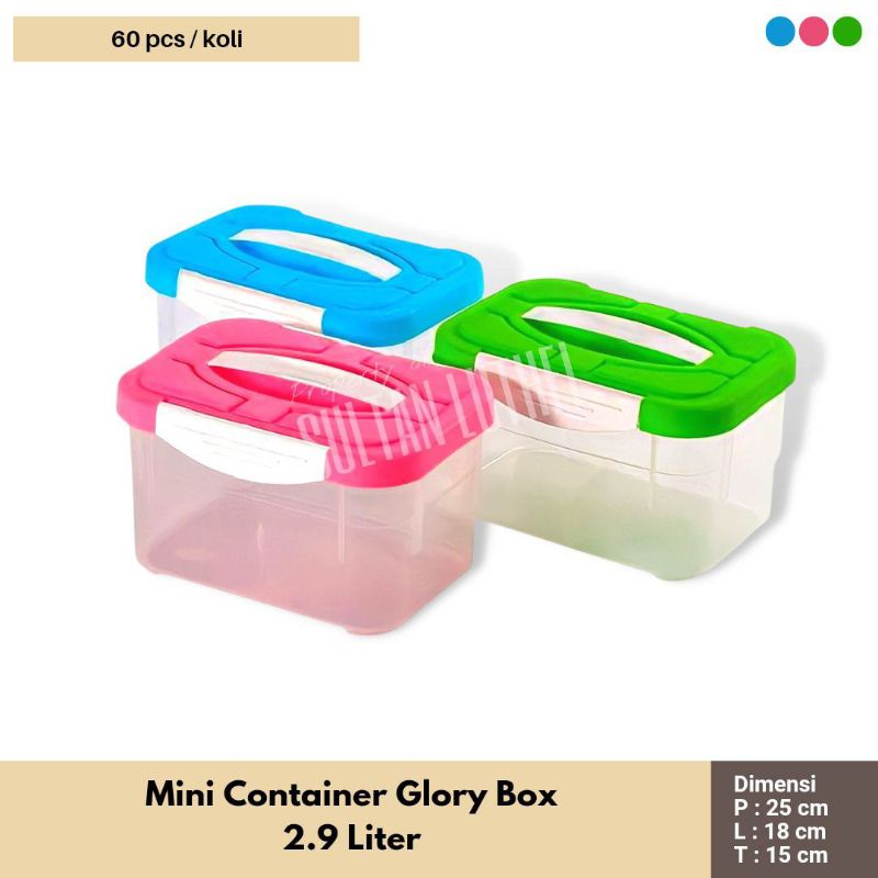 Mini Container Glory Box 2.9 Liter