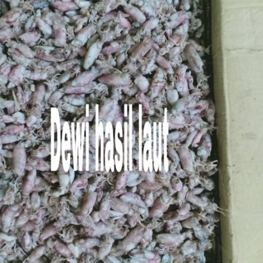 

FREE ONGKIR!Ikan asin cumi Bebi 250 gram|RA4